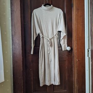 NWT turtleneck sweater dress